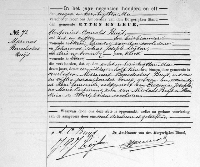 marinusbenedictusbuijsov1911_73ett.jpg